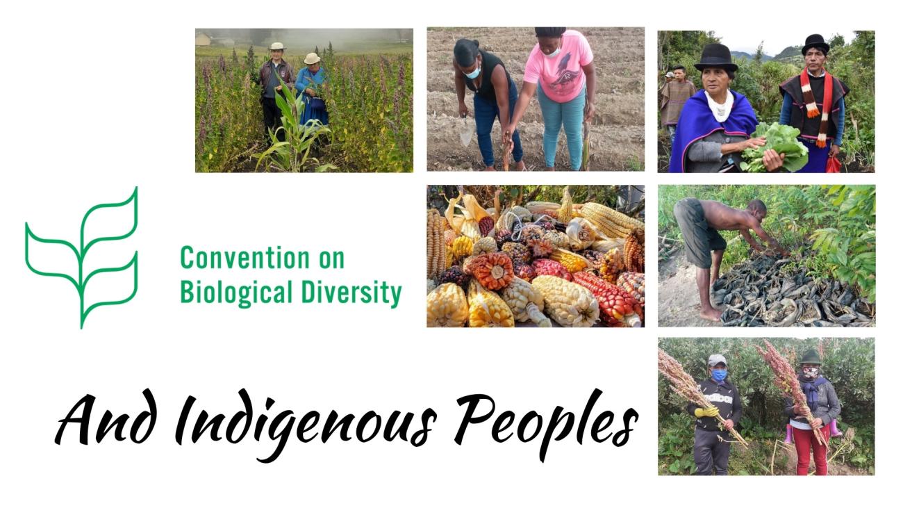 convention on biological diversity wiki